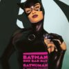 Batman One Bad Day 5: Catwoman [NL]